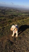 [Bonesmart.org] Diary of my journey to happy times