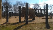 [Bonesmart.org] 7 years, 9 doctors, and 6 hour drive