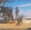 [Bonesmart.org] 7 years, 9 doctors, and 6 hour drive