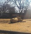 [Bonesmart.org] 7 years, 9 doctors, and 6 hour drive