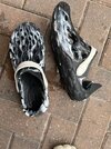 [Bonesmart.org] Cats land on their feet