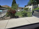 [Bonesmart.org] Cats land on their feet