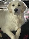 [Bonesmart.org] Pain when I sit for a longer time..