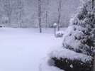 [Bonesmart.org] Story of My Knees by RestAssured: Pt 3