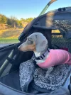 [Bonesmart.org] Never give up, keep trying, don't settle - that's me, Bonnie