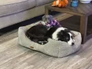 [Bonesmart.org] Never give up, keep trying, don't settle - that's me, Bonnie