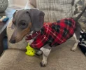 [Bonesmart.org] Never give up, keep trying, don't settle - that's me, Bonnie