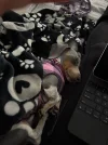 [Bonesmart.org] Never give up, keep trying, don't settle - that's me, Bonnie