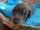 [Bonesmart.org] Never give up, keep trying, don't settle - that's me, Bonnie