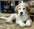 [Bonesmart.org] Time to change things up.