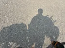 IMG_8130.webp