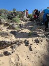 [Bonesmart.org] Journey Continuing June 4th, 2012