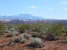 [Bonesmart.org] Journey Continuing June 4th, 2012