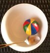[Bonesmart.org] op/post op since 13 march