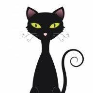 Allycat