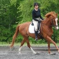 horsecrazy