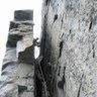 rockrat