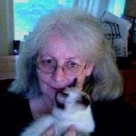 Jasminethecat