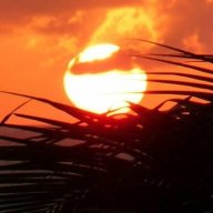 sunny-island