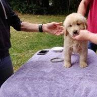 MissNoodle