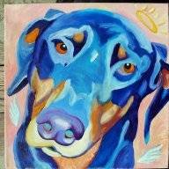 MsBlue