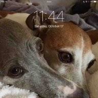 katkarma