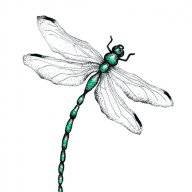 Crissiea