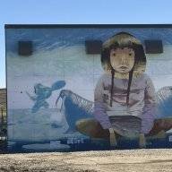 arcticgem
