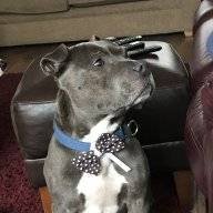 Scouseman