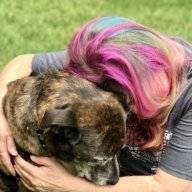 MzzzCat