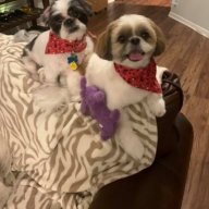 Double-trouble