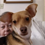Dharlee