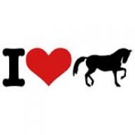 horse lover