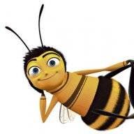 beekeeper