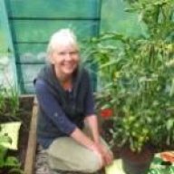 lovegardening