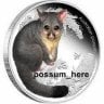 possum_here