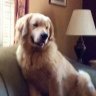 Cutter's Mom