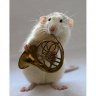 hornplayergirl