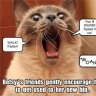 HobbitCatMom