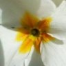 beitmery hermit