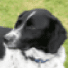 annierich