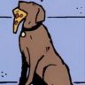 pizzadog