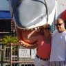 FLDiver13