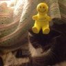 3-cats-&-a-dog
