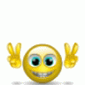 terieee