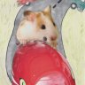RenegadeHamster