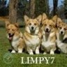 limpy7