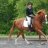 horsecrazy