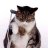 miaow27