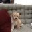 Puppymom